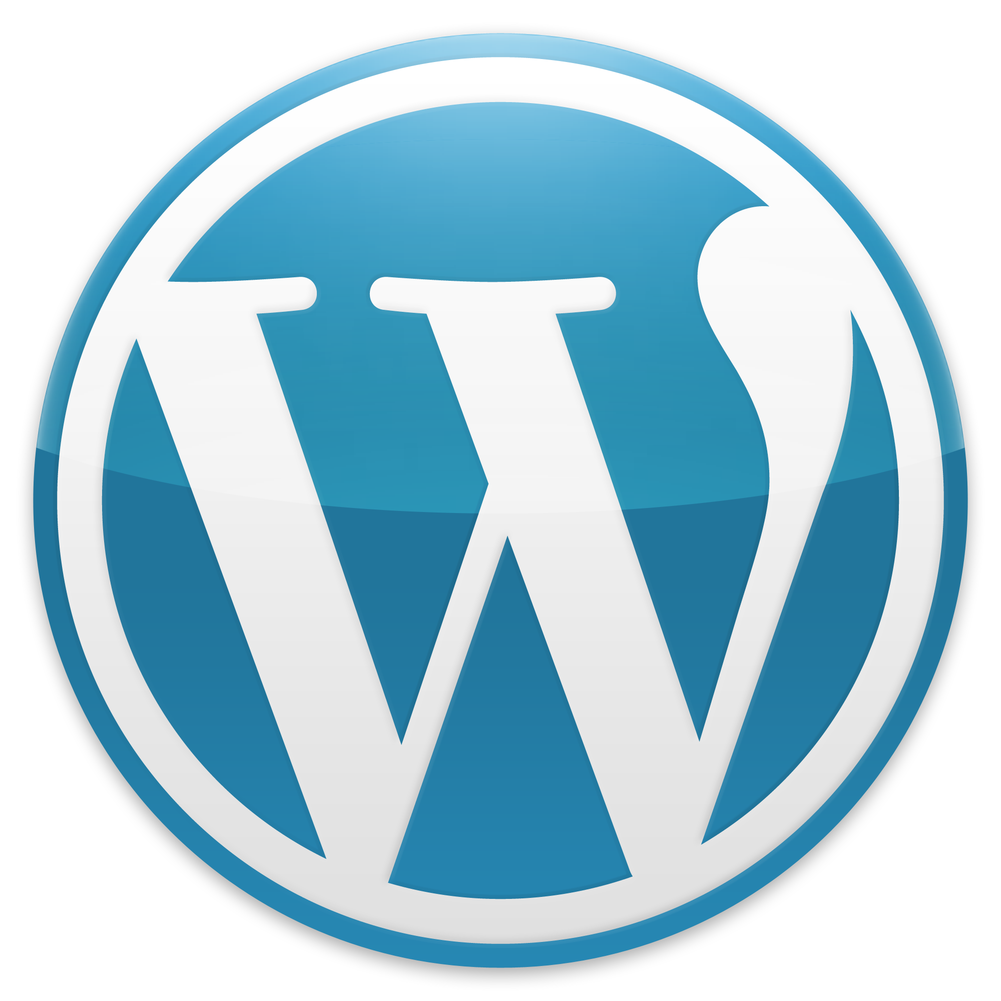 Website Development (WordPress )